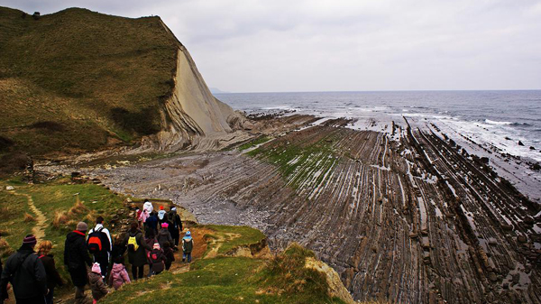 basauri_sagarrak_zumaia_flysch_2013