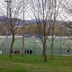 basauri_basozelai_2013_campo_futbol