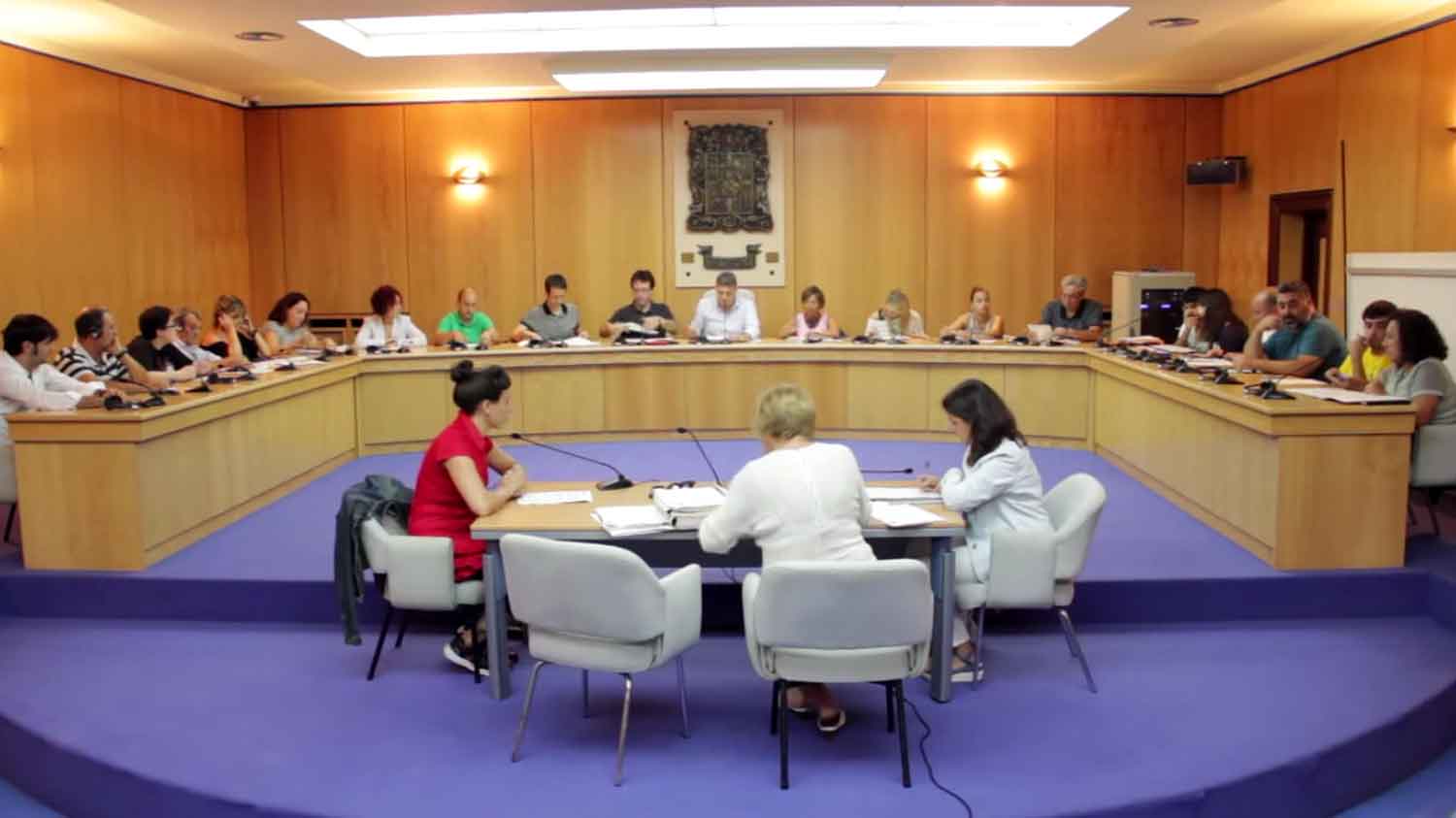 basauri pleno 2015 julio general