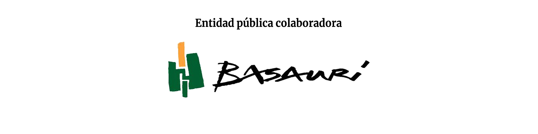 Ayuntamiento de Basauri